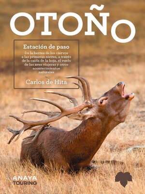 cover image of OTOÑO. Estación de paso